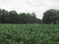 086 (2)